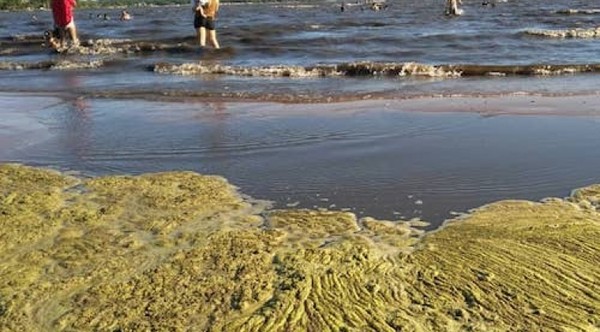 Congreso Nacional estudia solución definitiva para salvar el lago Ypacarai » Ñanduti