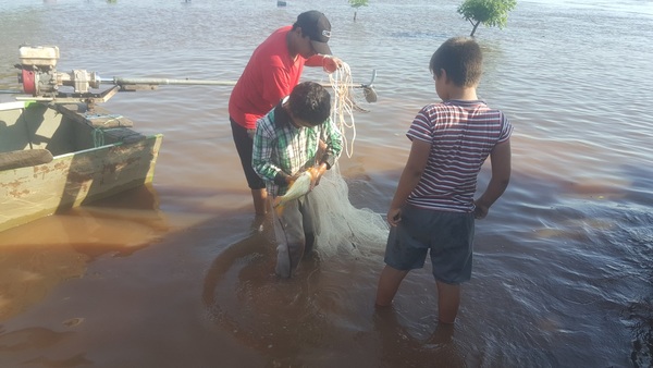 Vinculan muerte de peces con deterioro de materia orgánica