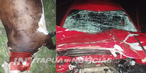 GRAL. ARTIGAS: VACA SUELTA OCASIONA ACCIDENTE SOBRE LA RUTA 8.