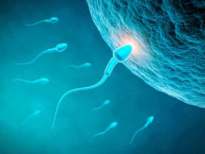 Prueban con éxito píldora anticonceptiva masculina - ADN Paraguayo