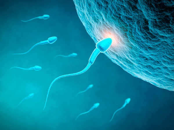 Prueban con éxito píldora anticonceptiva masculina - ADN Paraguayo