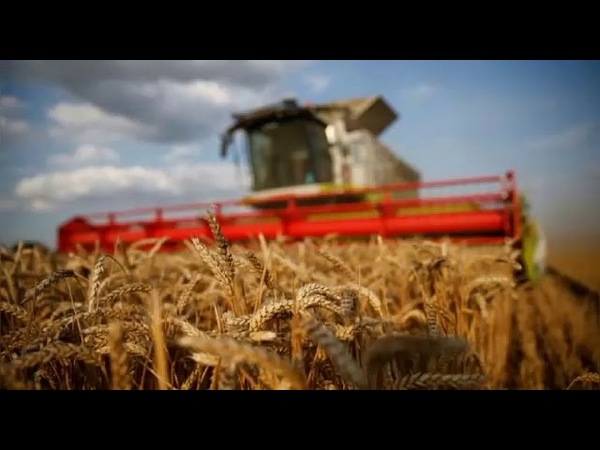 Banco Regional apuesta por el sector agrícola