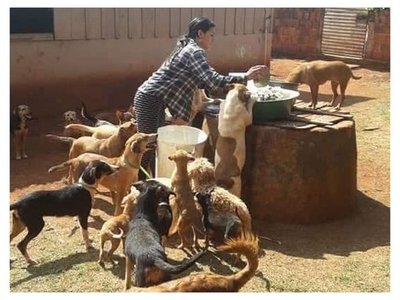 Así rescataba y cuidaba Angélica a los animales