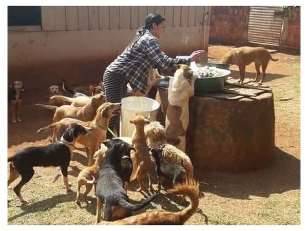 Así rescataba y cuidaba Angélica a los animales