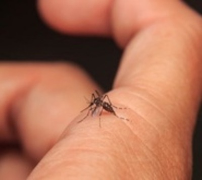 Dengue en la frontera: Piden extremar cuidados al viajar a Paraguay - Paraguay.com