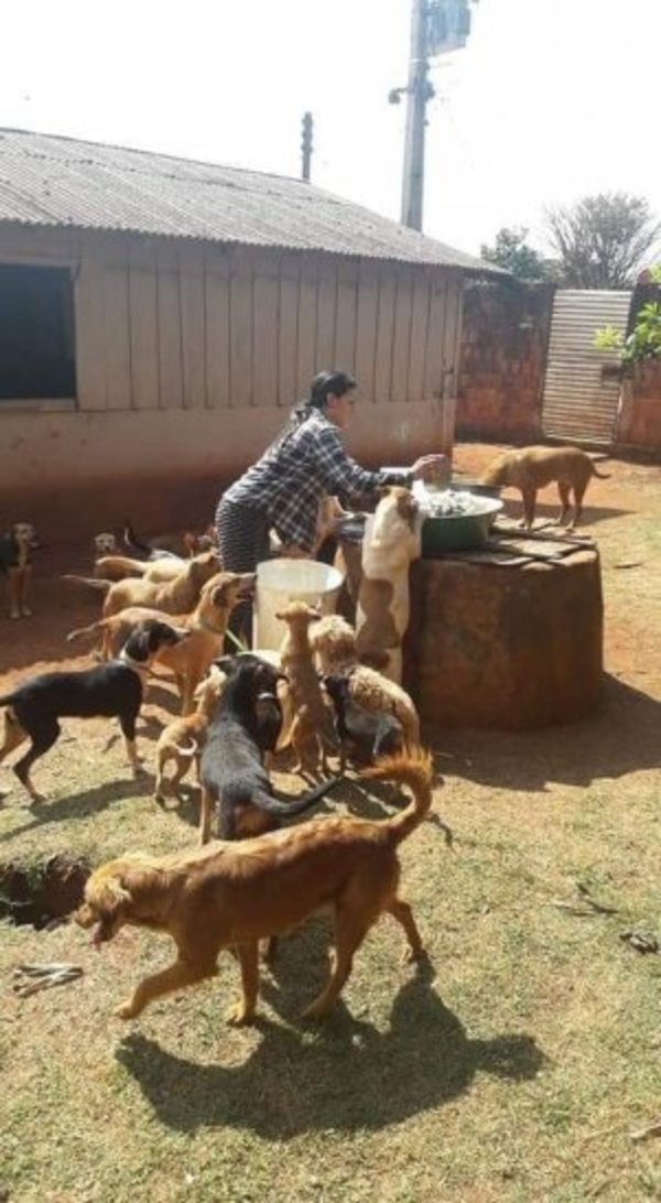 Así rescataba y cuidaba Angélica a los animales – Prensa 5