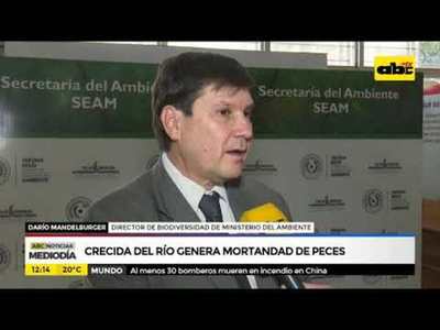 Crecida del río genera mortandad de peces - Tv - ABC Color