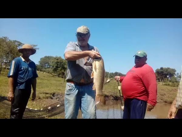EXITOSA COSECHA DE PECES EN ENCARNACIÓN