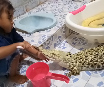 ¡Insólito! Una niña cepilla los dientes y maquilla a un cocodrilo