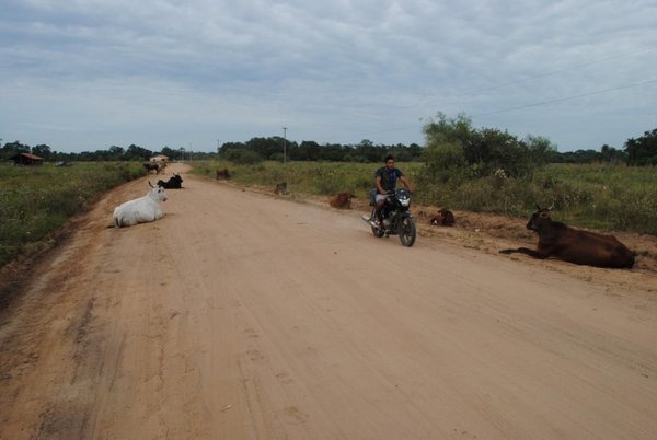Sequía ya comienza a preocupar en Misiones | Paraguay en Noticias 