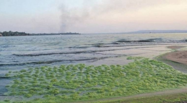 Estudian solución definitiva para salvar lago Ypacaraí
| Paraguay en Noticias