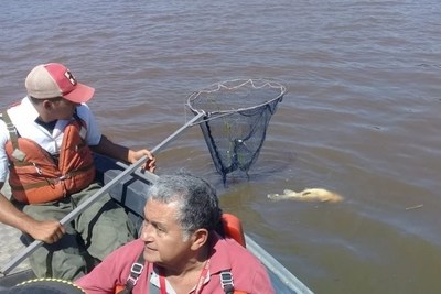 Mortandad de peces: inició proceso de depuración, según el Mades