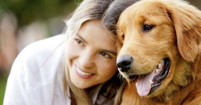 Perros podrían transmitir mortal virus a humanos - ADN Paraguayo