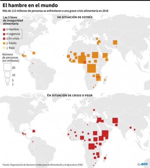 Más de 113 millones de personas sufrieron hambre en 2018 | Paraguay en Noticias