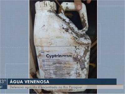 En Mato Grosso también se registró mortandad de peces