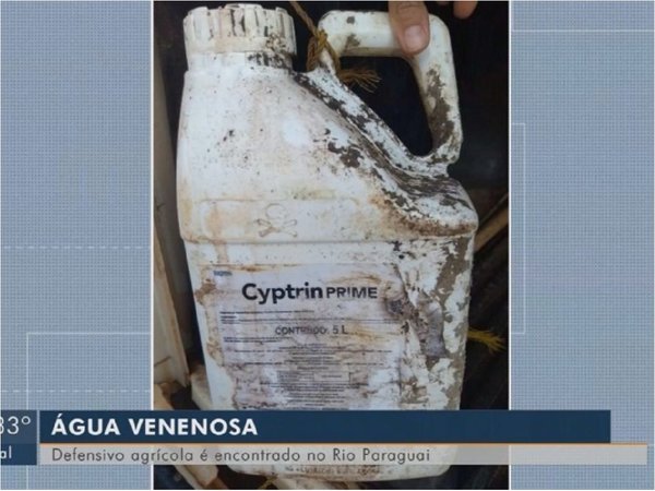 En Mato Grosso también se registró mortandad de peces