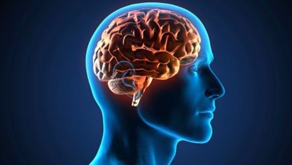 Nueva técnica podría prevenir enfermedades neurodegenerativas - Ciencia - ABC Color