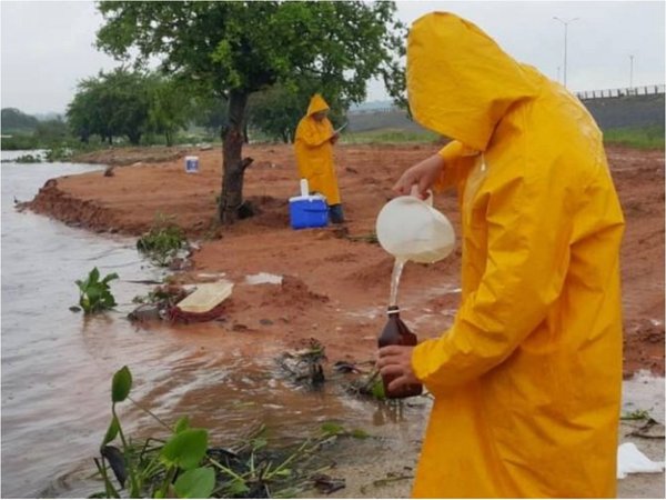 Descartan que derrame químico en Brasil afecte a peces en Paraguay