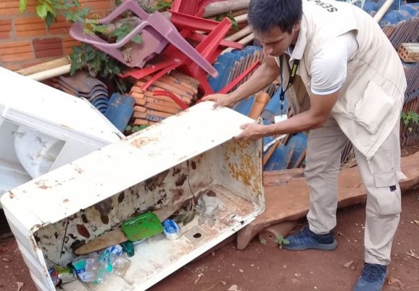 Paraguay exporta dengue a la Argentina | Paraguay en Noticias