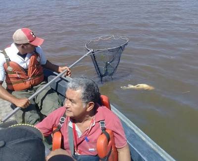Mortandad de peces: No hubo ningún tipo de derrame químico, dice Ministro » Ñanduti