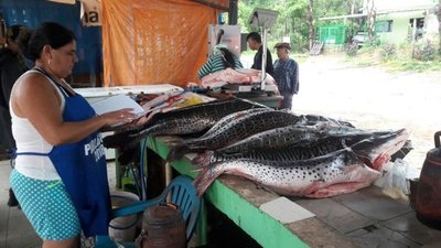 Pescadores exigen soluciones al ministro Ariel Oviedo » Ñanduti