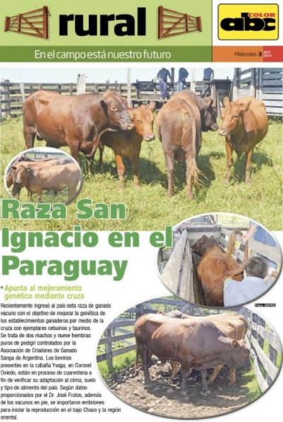 Raza San Ignacio en el Paraguay - Edicion Impresa - ABC Color