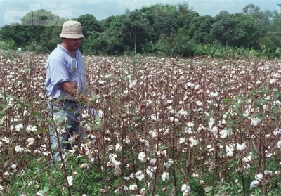 Producir más cuidando el ambiente - Ing. Agr. Fernando Díaz Shenker (*) - Edicion Impresa - ABC Color