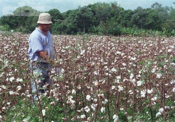 Producir más cuidando el ambiente - Ing. Agr. Fernando Díaz Shenker (*) - Edicion Impresa - ABC Color