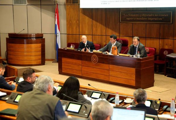 Analizan proyectos de leyes contra el lavado de dinero