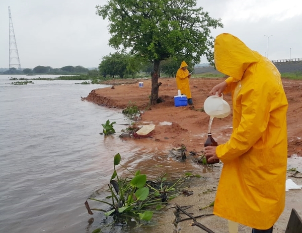 Ministerio investiga causa de mortandad de peces y no descarta fenómeno natural | Paraguay en Noticias 