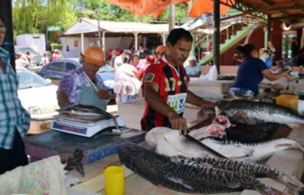 Se han registrado escasas ventas de pescados - Radio 1000 AM