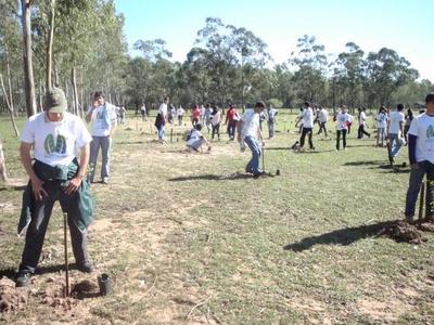 A Todo Pulmón Paraguay Respira cumple 10 años reforestando el país » Ñanduti