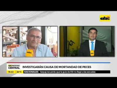 Investigarán causa de mortandad de peces - Tv - ABC Color