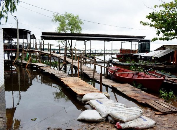Preocupa poca venta de pescados en Remanso - Edicion Impresa - ABC Color