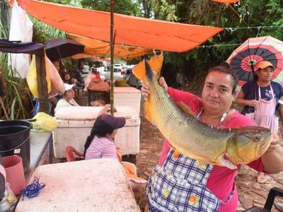 Movimiento comercial agoniza en Remanso tras mortandad de peces