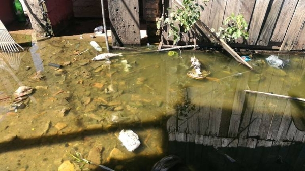 HOY / Mortandad de peces y olores nauseabundos en Tablada