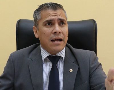 Apoderado lanzará libro sobre gestión presidencial