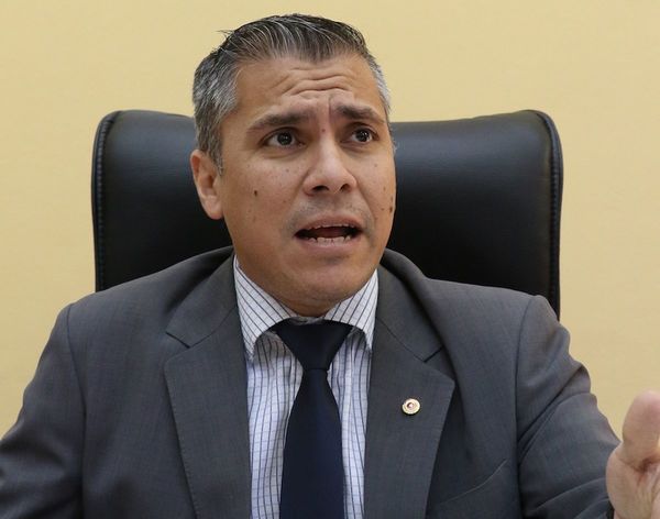 Apoderado lanzará libro sobre gestión presidencial