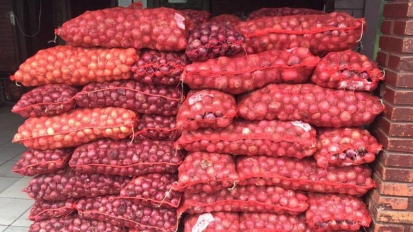 HOY / Incautan toneladas de cebollas y papas en Vista Alegre