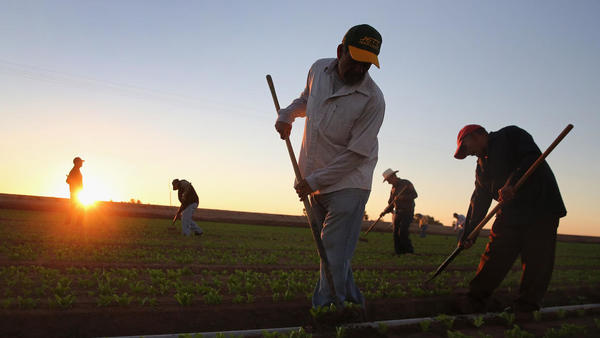 Refinanciación de deudas beneficiará a organizaciones campesinas - .::RADIO NACIONAL::.