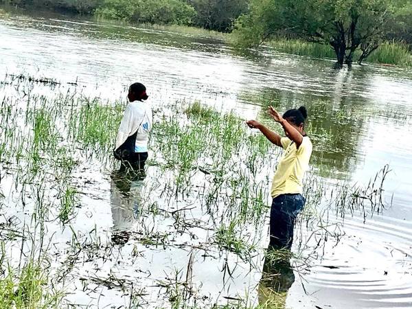 Clima castiga cultivos y causa escasez de alimentos en el Chaco