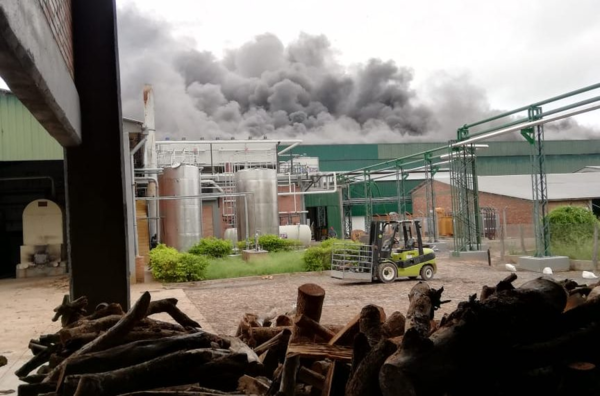 El frigorífico Chortitzer tardaría un año en reponerse tras el incendio » Ñanduti