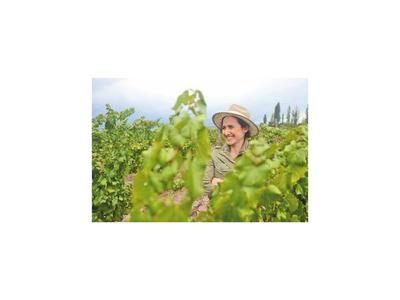 Importadora Frutos de los Andes suma a su portafolio los vinos de Laura Catena