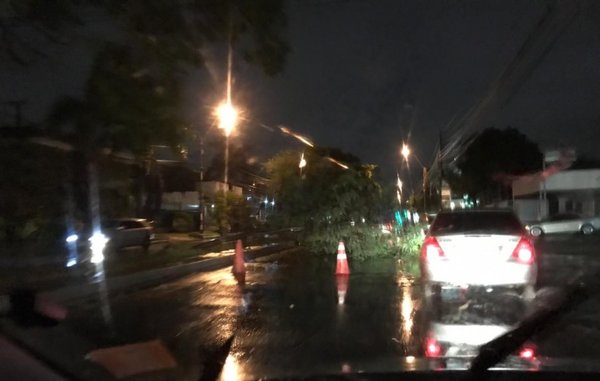 Tormenta echa árboles y avería semáforos | Paraguay en Noticias