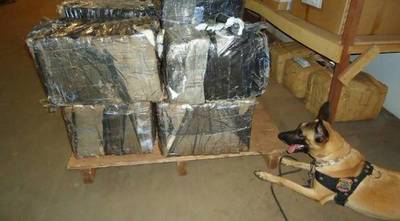 PARAGUAYO CAE CON UNOS 250 KG DE MARIHUANA EN BRASIL