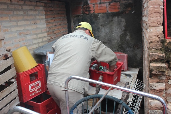 El lunes inicia minga ambiental en Santa Rosa, Misiones - ADN Paraguayo