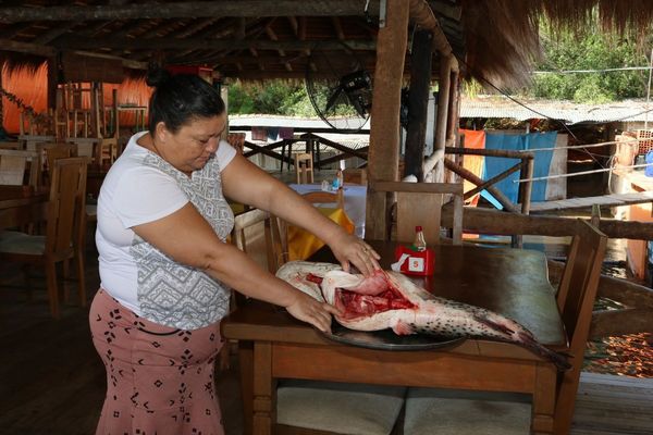 VENTA DE PESCADOS EN REMANSO DISMINUYÓ 90% POR MORTANDAD