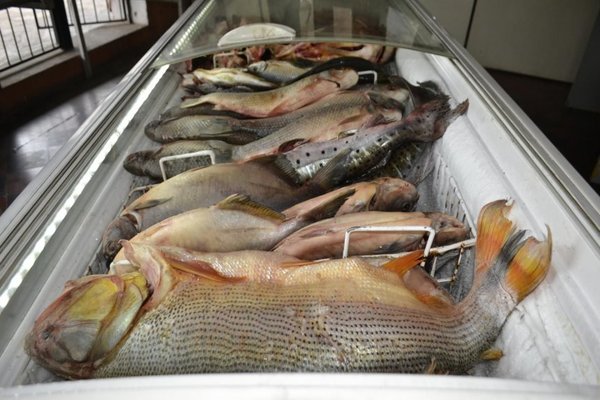 Escasa venta de pescado preocupa a comerciantes - Nacionales - ABC Color
