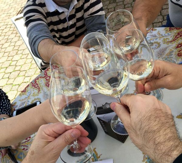 Realizarán fiesta del “Tannat” para conocer vinos de Uruguay