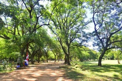 Convocan a manifestación para frenar tala del botánico - Nacionales - ABC Color